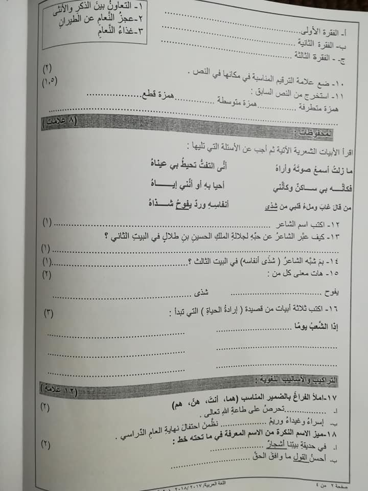 اختبار وكالة نموذج A مادة اللغة العربية للصف الخامس الفصل الثاني 2018 2.jpg